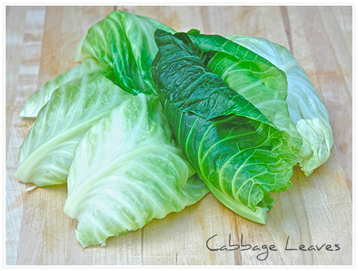 cabbage leaves