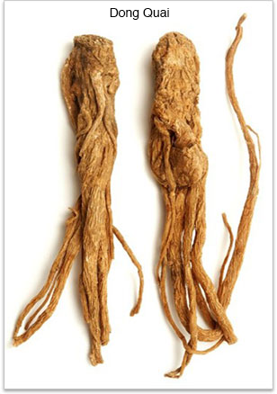 Dong Quai Root 