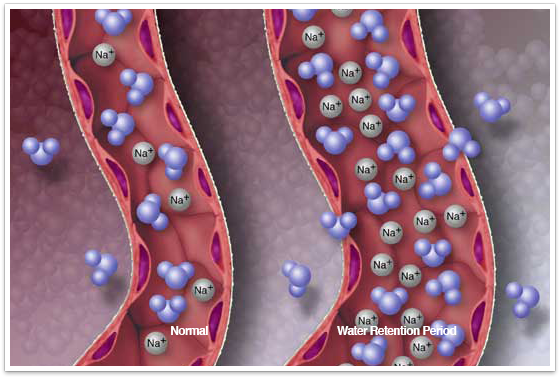 Water Retention Period